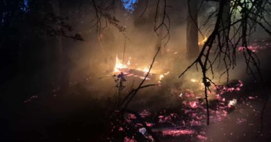 Požiar lesa nad Liptovskou Porúbkou