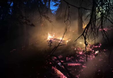 Požiar lesa nad Liptovskou Porúbkou