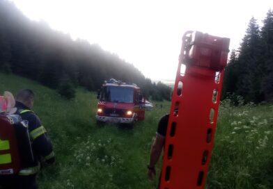Medvedica na Liptove zranila muža