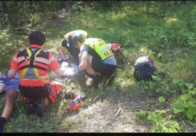 Súčinnosť pri alergickej reakcii v&nbsp;Nízkych Tatrách