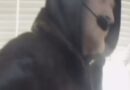 ŽIADOSŤ O POMOC: HĽADÁME SVEDKA