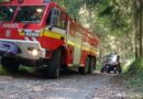 V Hradskej hore zasahovali hasiči: Požiar porastu bol pravdepodobne založený úmyselne