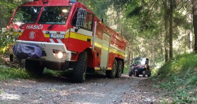 V Hradskej hore zasahovali hasiči: Požiar porastu bol pravdepodobne založený úmyselne